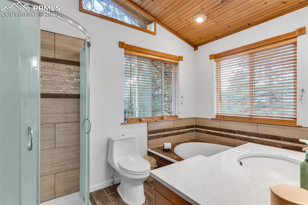 209 Rosewood Road Westcliffe, CO 81252 - Photo 23 of 49 Primary bathroom with high ceilings and soaking tub