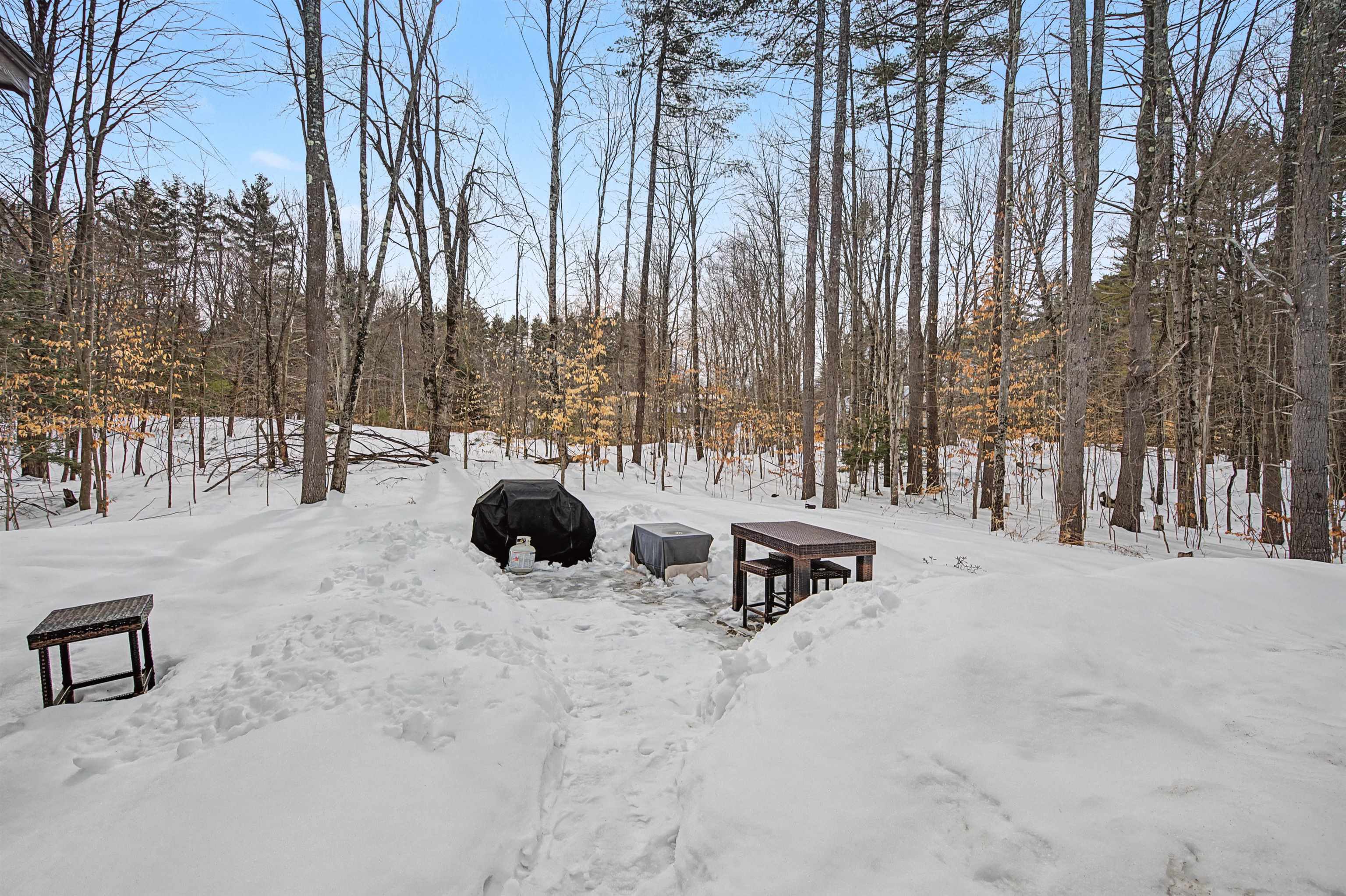 297 Nutting Road Sunapee, NH 03782 - Photo 54 of 56