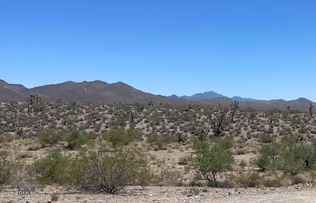 a view of a mountain in the distance
