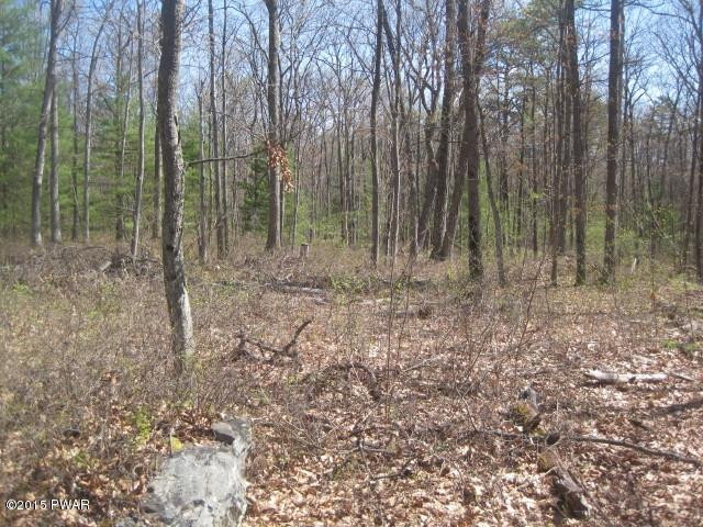 Lot 6 Fox Rdg Pk Drive Hawley, PA 18428 - Photo 3 of 5 IMG_9680