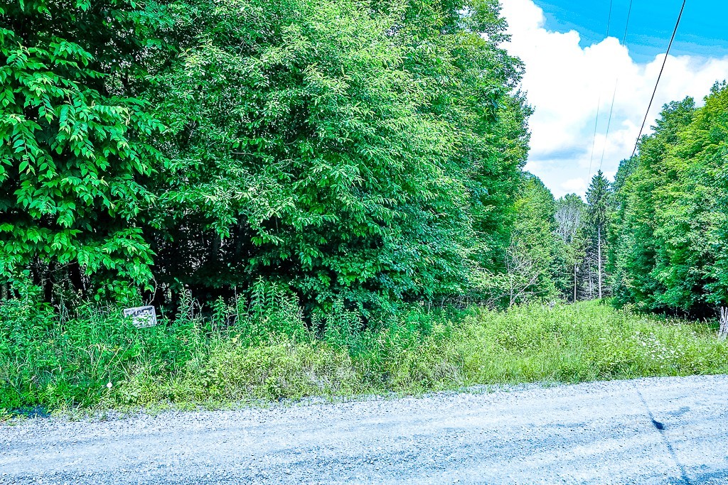 218 Old Mountain Road Banner Elk, NC 28604 - Photo 10 of 34 Gallery Image 10