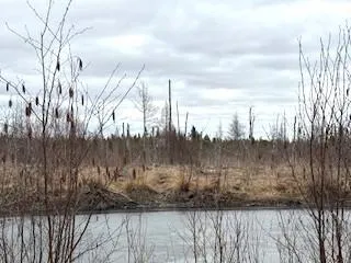 $99,900 | Tbd 450th Street, Palisade, MN 56469