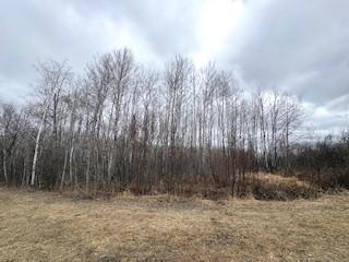 Tbd 450th Street Palisade, MN 56469 - Photo 2 of 9