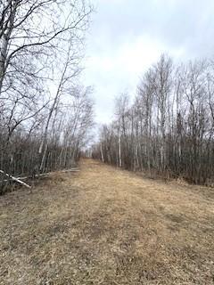 Tbd 450th Street Palisade, MN 56469 - Photo 3 of 9