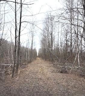 Tbd 450th Street Palisade, MN 56469 - Photo 4 of 9