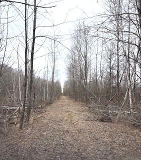 Tbd 450th Street Palisade, MN 56469 - Photo 4 of 9