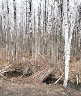 Tbd 450th Street Palisade, MN 56469 - Photo 5 of 9