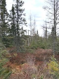 Tbd 450th Street Palisade, MN 56469 - Photo 7 of 9