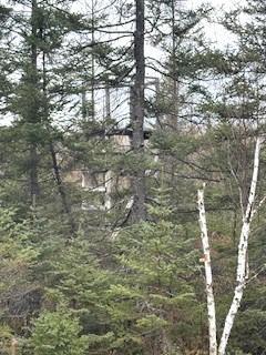 Tbd 450th Street Palisade, MN 56469 - Photo 8 of 9