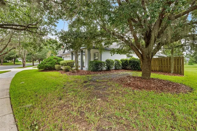 a view of a house with a tree in the yard