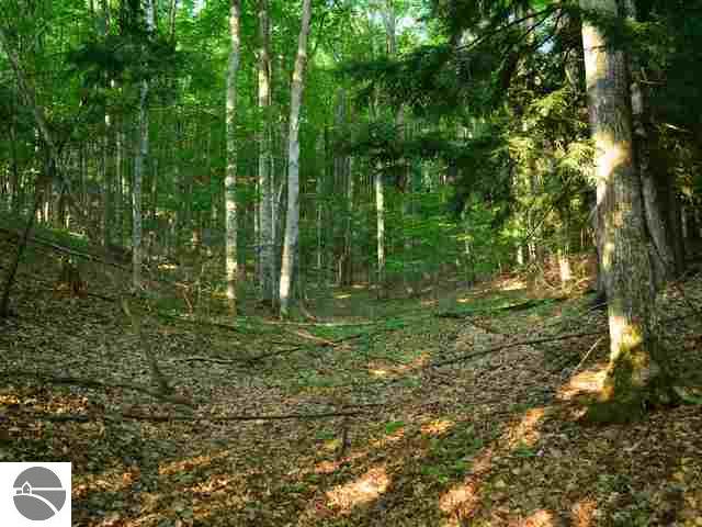 4888 South Wheeler Road Maple City, MI 49664 - Photo 1 of 18 1737925.JPG