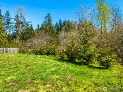 a view of a yard with a tree