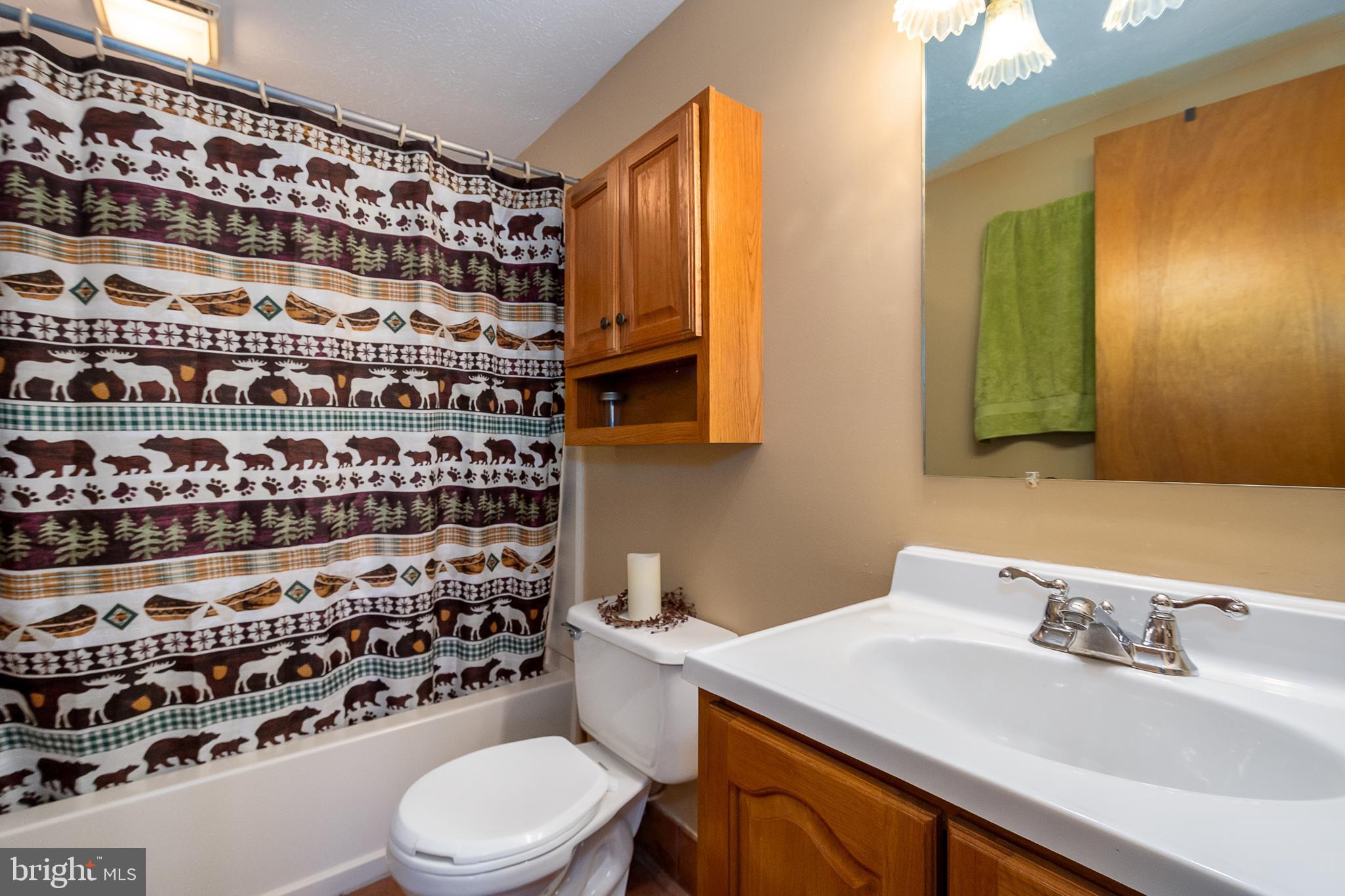 365 Ridge Road Swanton, MD 21561 - Photo 42 of 51