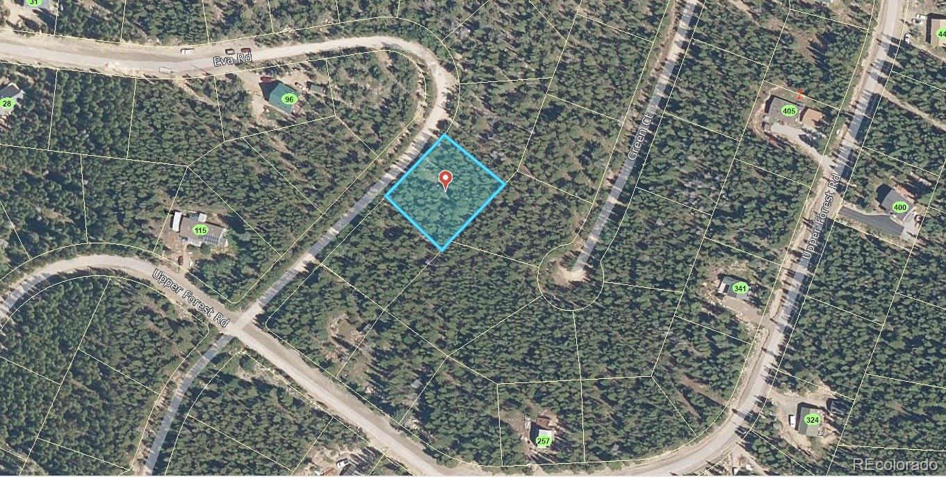 336 Eva Road Idaho Springs, CO 80452 - Photo 2 of 11