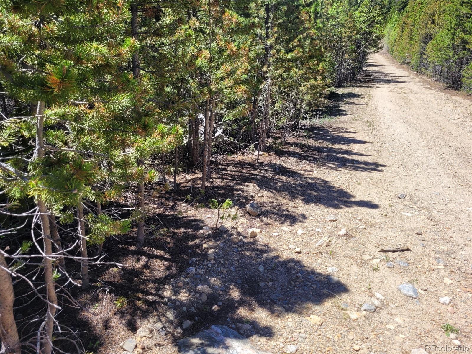 336 Eva Road Idaho Springs, CO 80452 - Photo 3 of 11 a view of an outdoor space and a yard