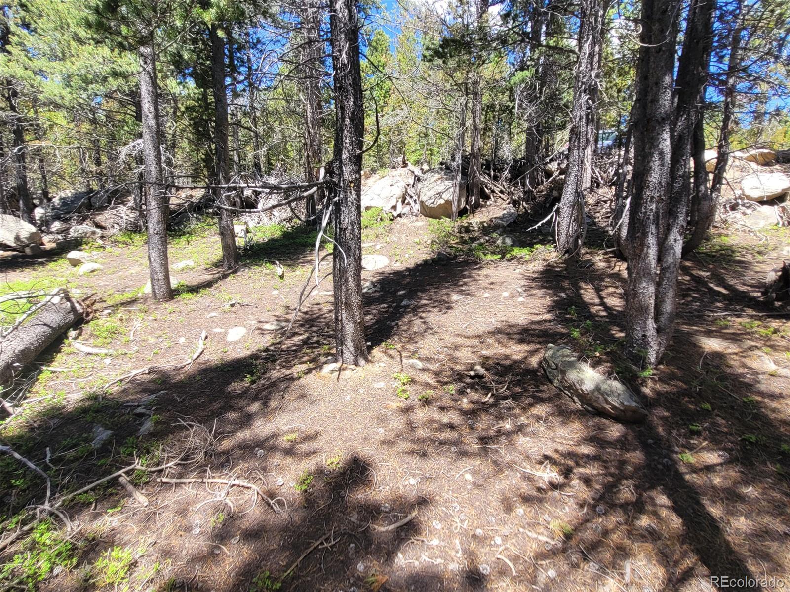 336 Eva Road Idaho Springs, CO 80452 - Photo 10 of 11 a view of a yard with trees