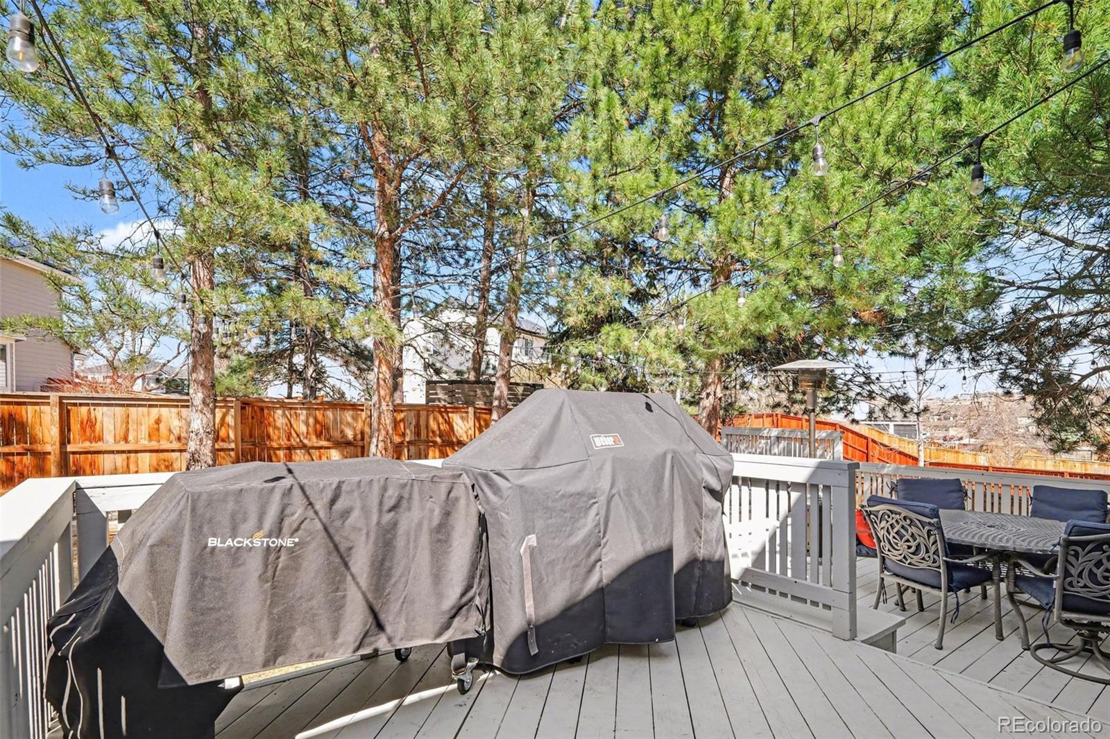 9467 Cherryvale Lane Highlands Ranch, CO 80126 - Photo 32 of 41