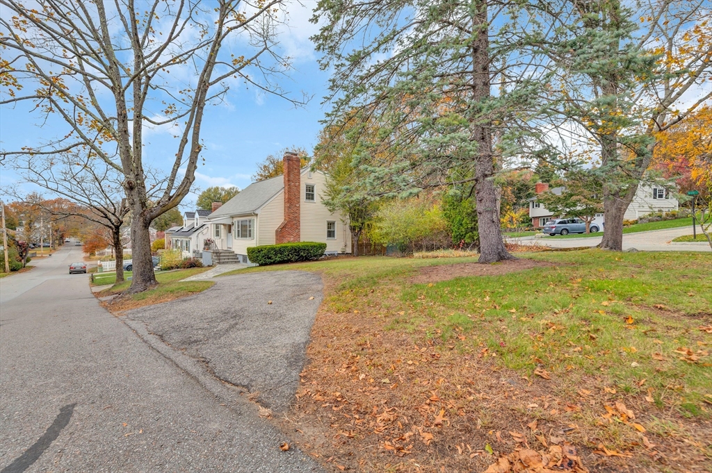 19 Wilbur Avenue Arlington, MA 02476 - Photo 4 of 32 a view of road with large trees