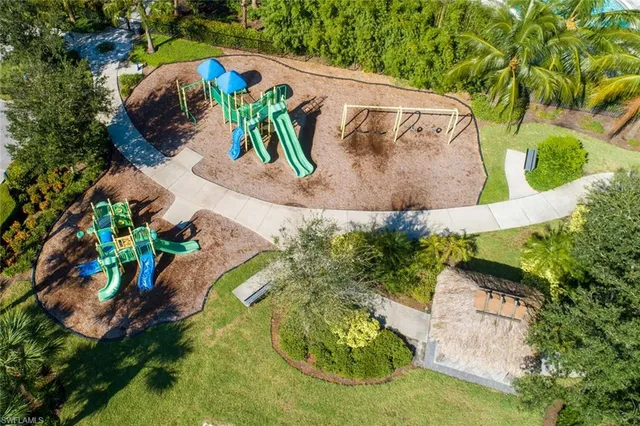 a view of a plant in a park