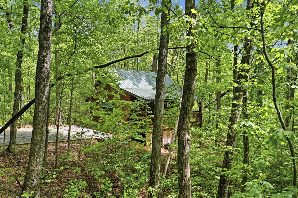 1564 Big Ben Road Ellijay, GA 30540 - Photo 38 of 63 Gallery Image 38