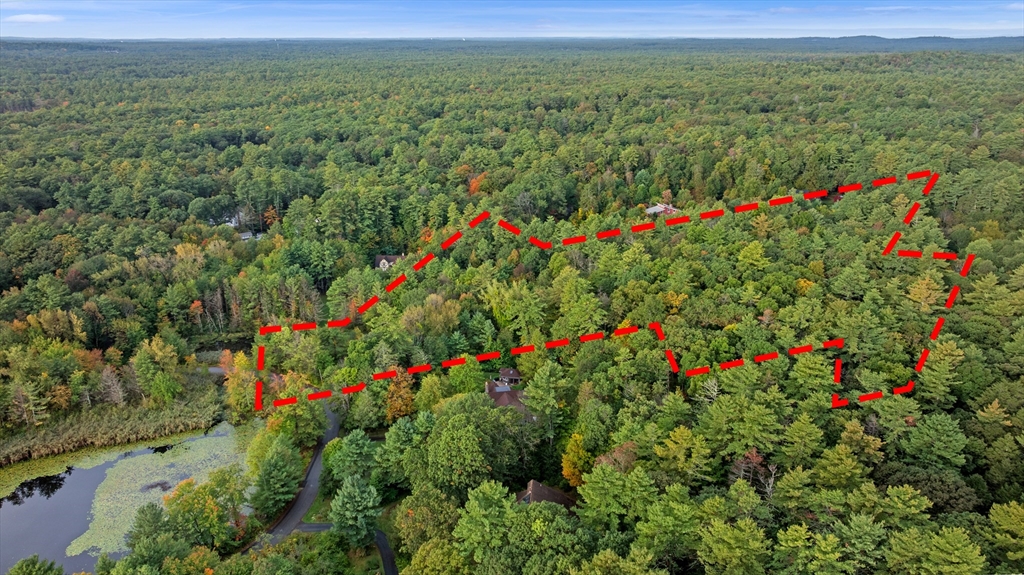 20 B Wildmeadow Road Boxford, MA 01921 - Photo 3 of 4 a view of a flower in a field