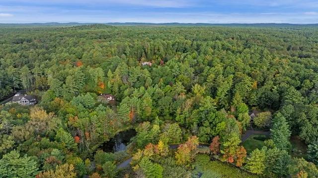 a view of a green field with lots of bushes