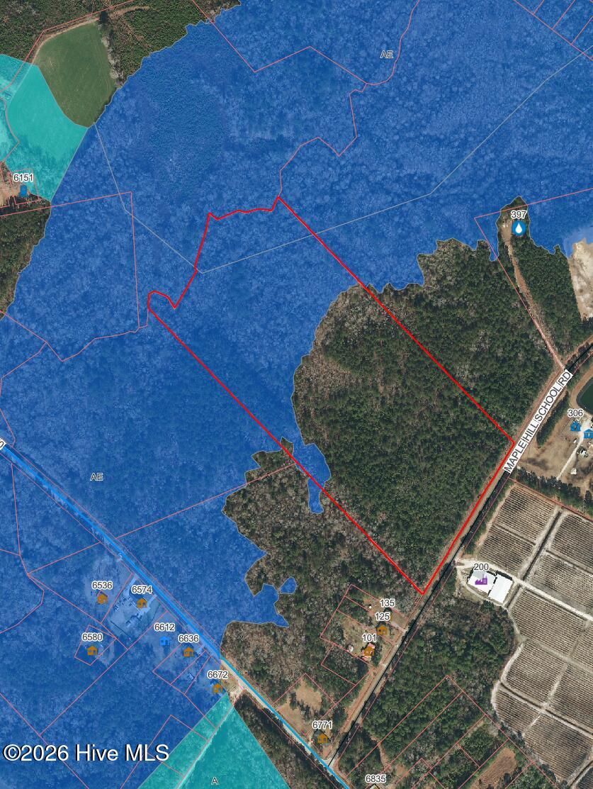 28-ac Maple Hill School Road Maple Hill, NC 28454 - Photo 17 of 20