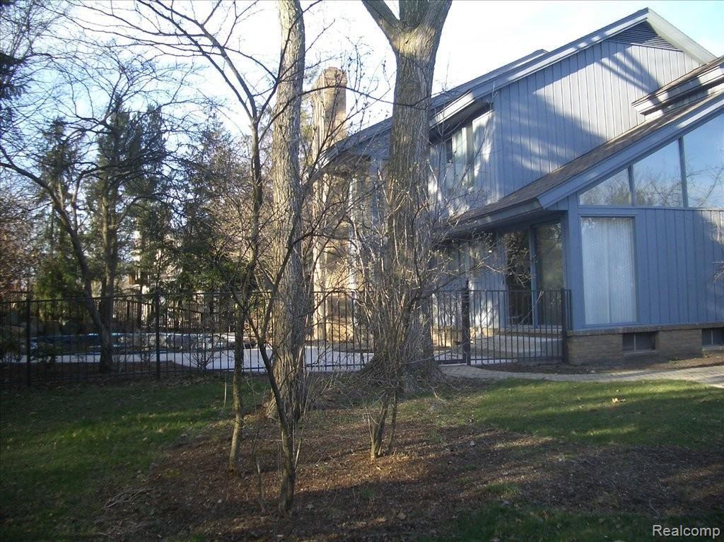 backyard r