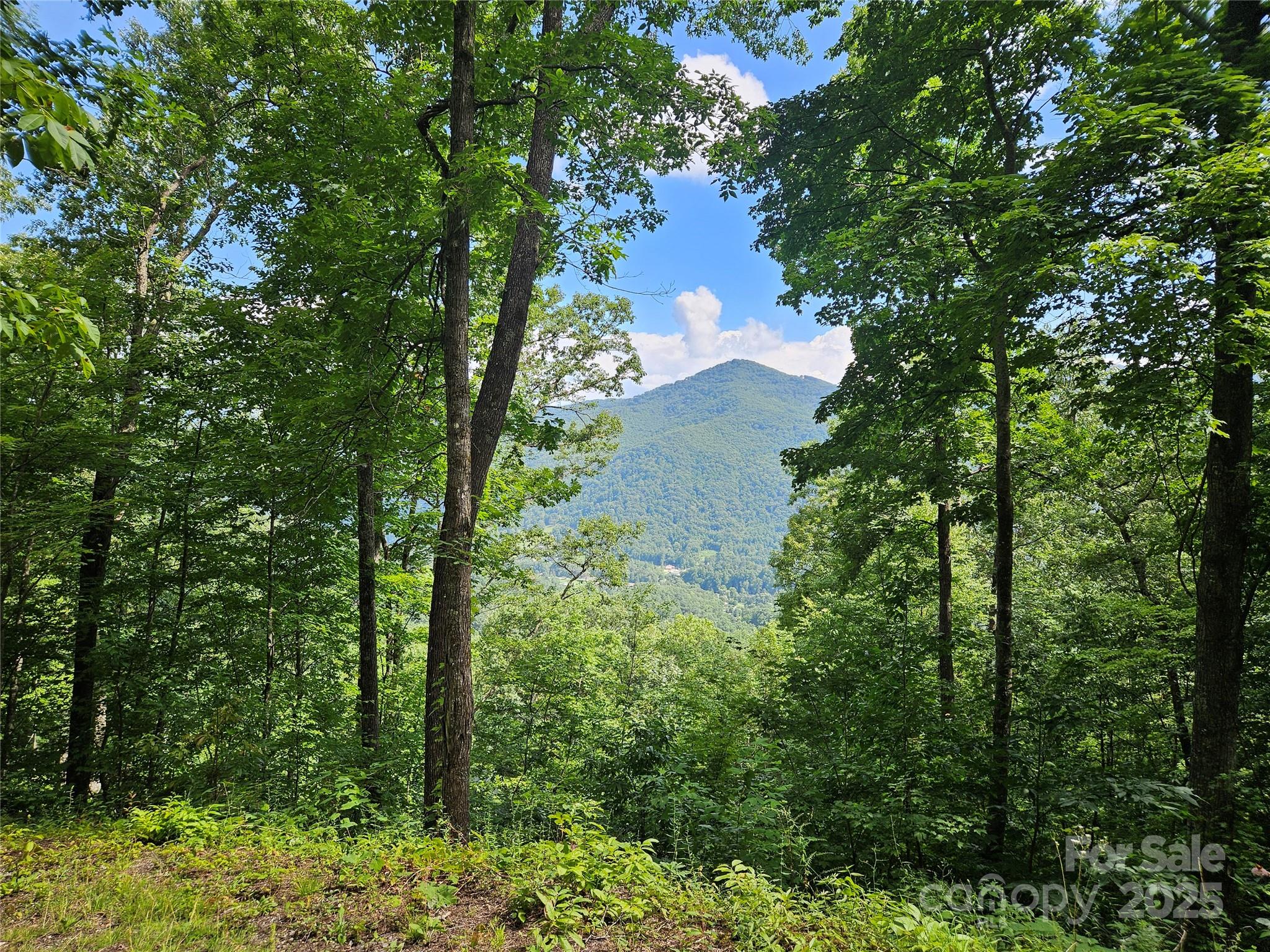 0 Big Boulder Ridge, Unit 9 Maggie Valley, NC 28751 - Photo 1 of 10