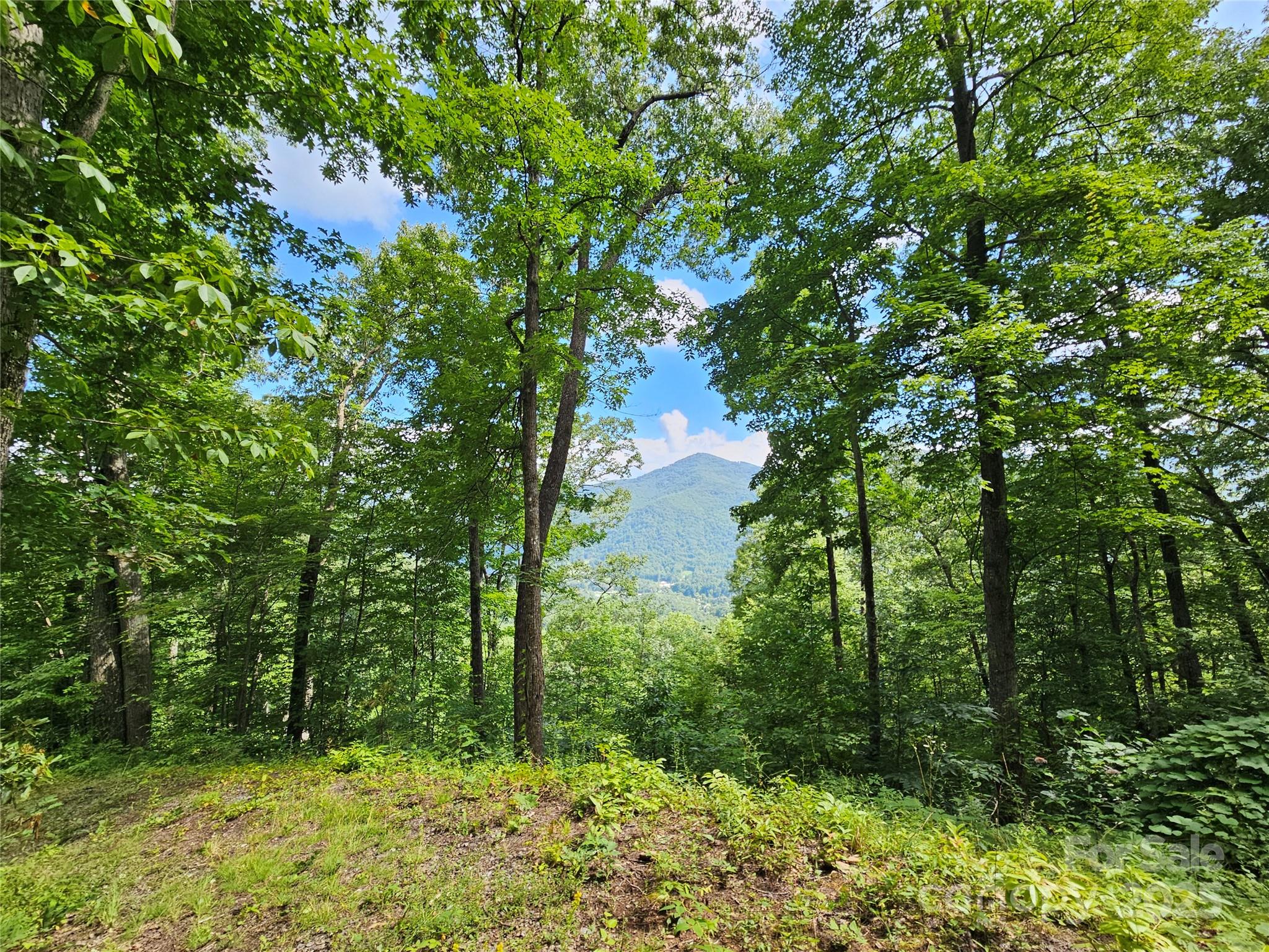 0 Big Boulder Ridge, Unit 9 Maggie Valley, NC 28751 - Photo 3 of 10