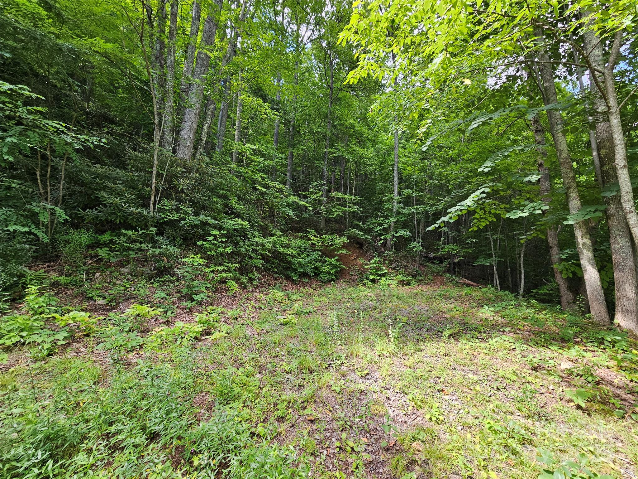 0 Big Boulder Ridge, Unit 9 Maggie Valley, NC 28751 - Photo 4 of 10