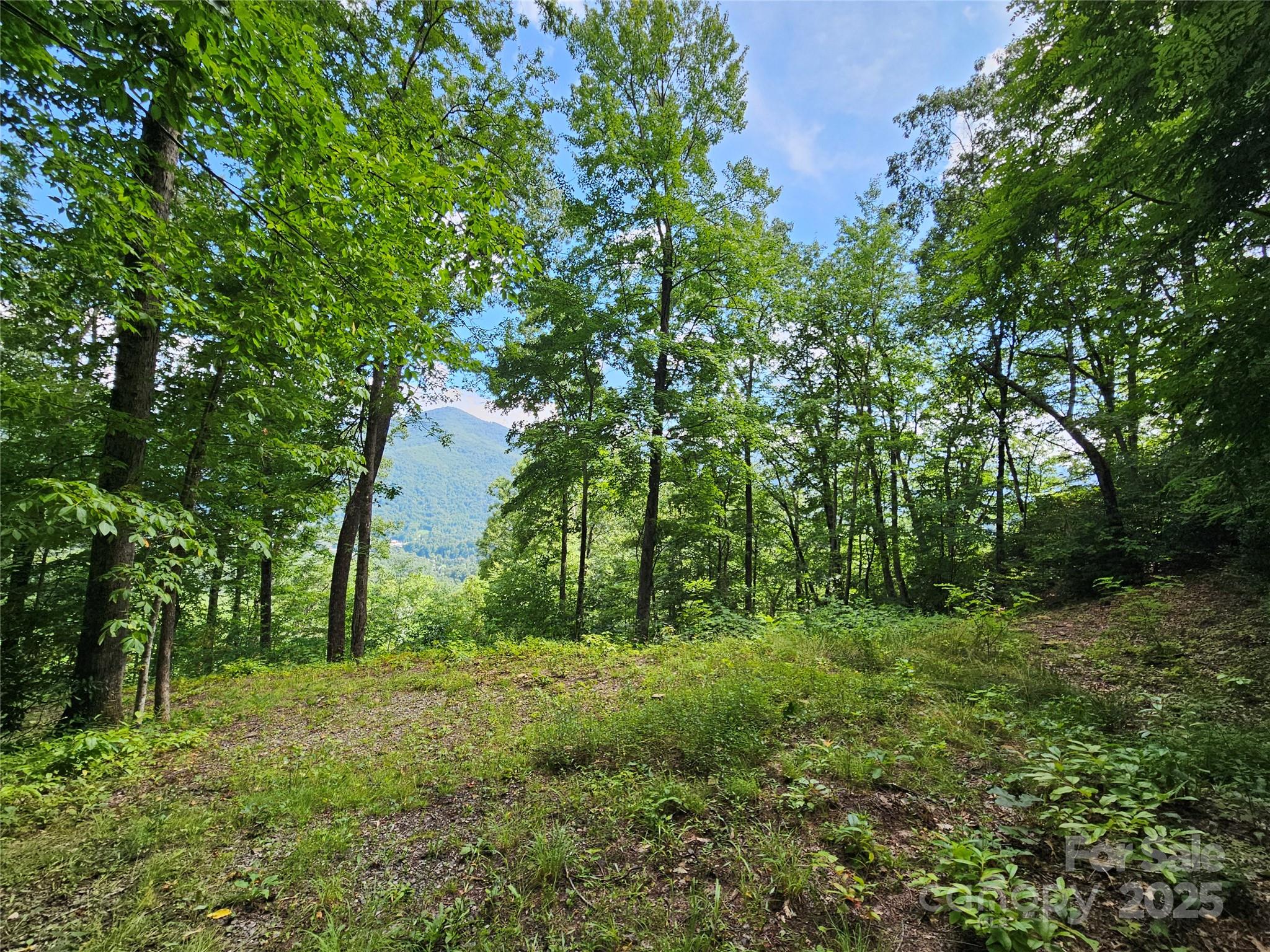 0 Big Boulder Ridge, Unit 9 Maggie Valley, NC 28751 - Photo 5 of 10