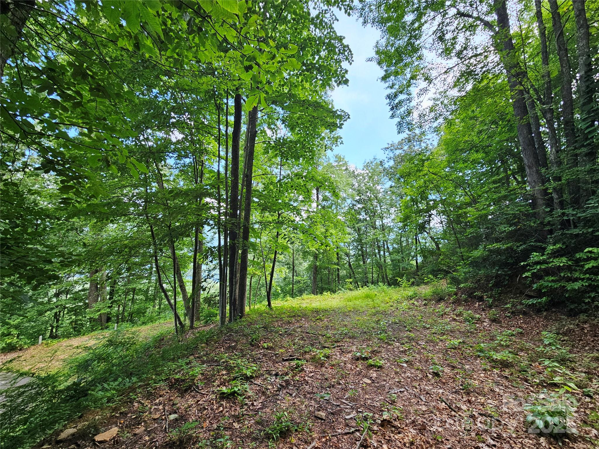 0 Big Boulder Ridge, Unit 9 Maggie Valley, NC 28751 - Photo 6 of 10