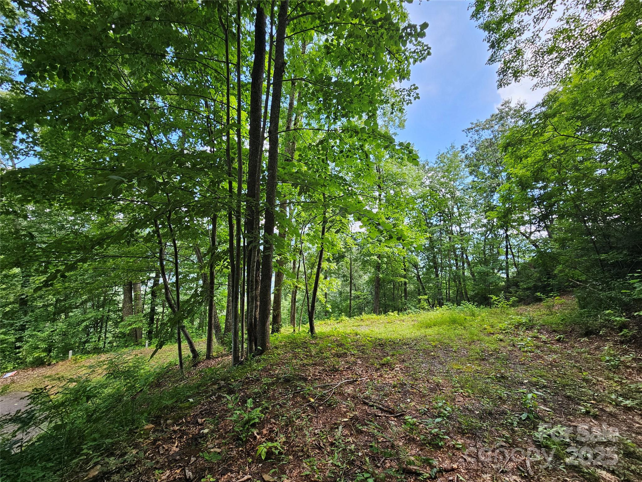 0 Big Boulder Ridge, Unit 9 Maggie Valley, NC 28751 - Photo 7 of 10