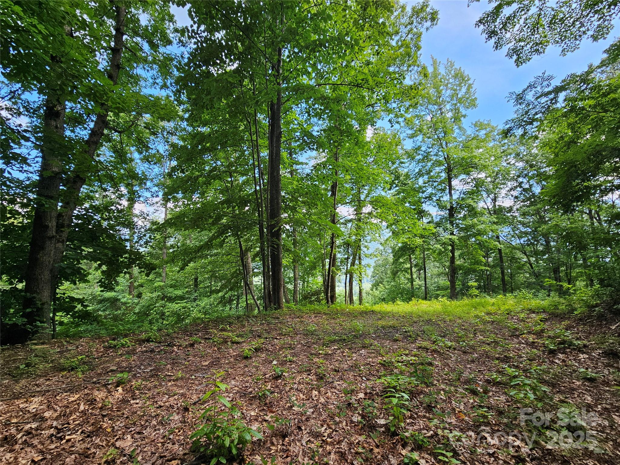 0 Big Boulder Ridge, Unit 9 Maggie Valley, NC 28751 - Photo 8 of 10