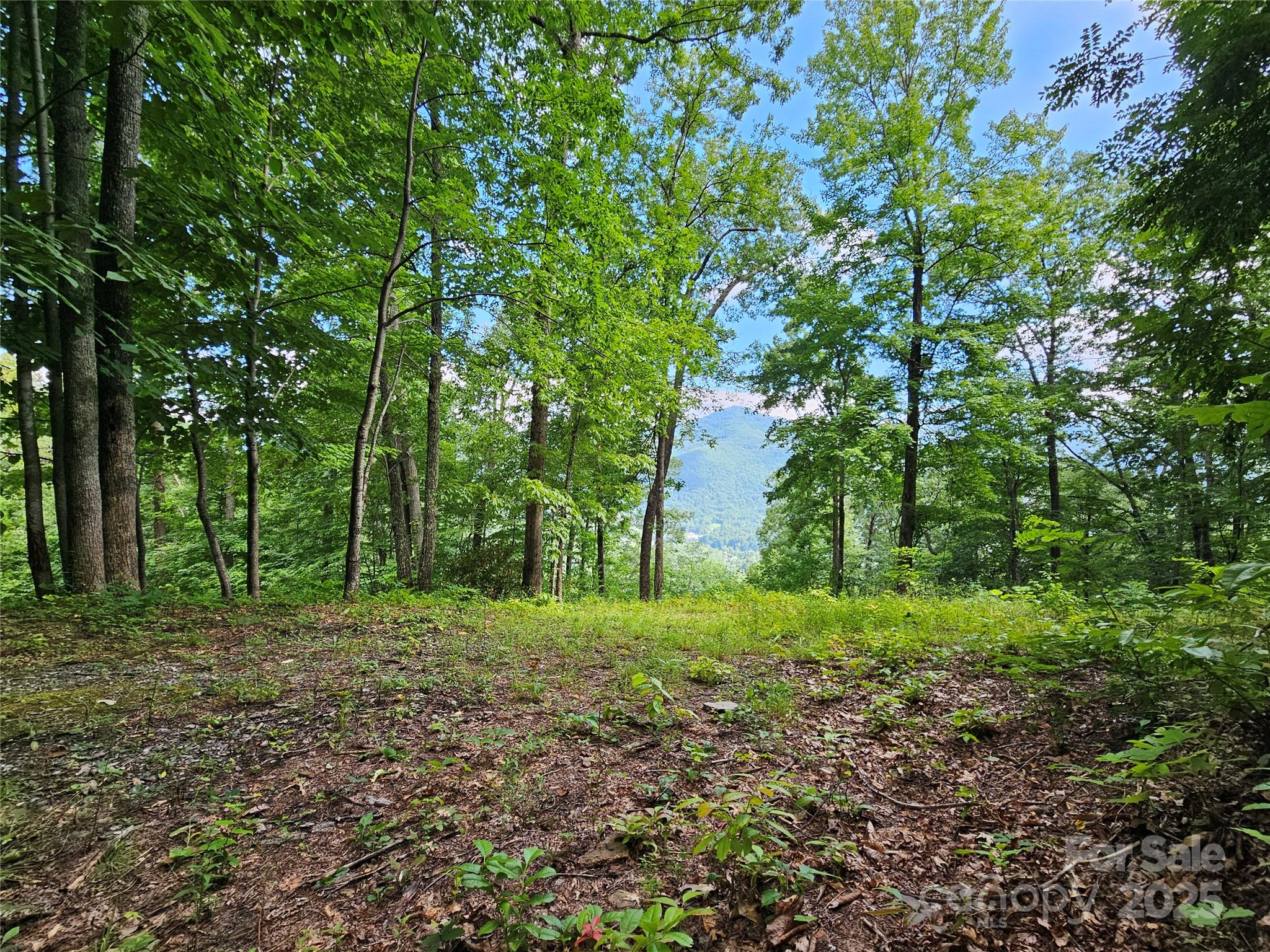 0 Big Boulder Ridge, Unit 9 Maggie Valley, NC 28751 - Photo 9 of 10