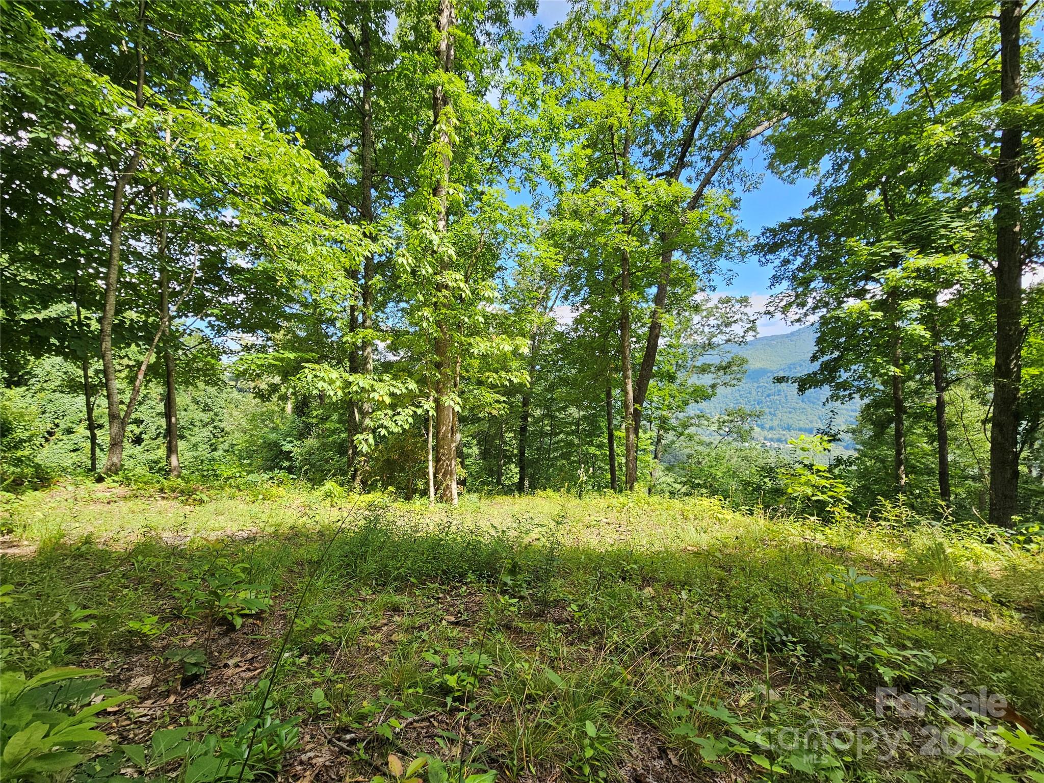 0 Big Boulder Ridge, Unit 9 Maggie Valley, NC 28751 - Photo 10 of 10