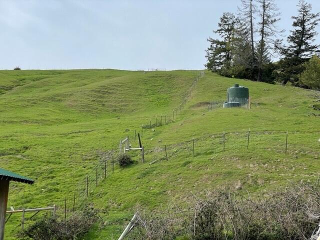 4001 Conklin Creek Road Ferndale, CA 95536 - Photo 30 of 125
