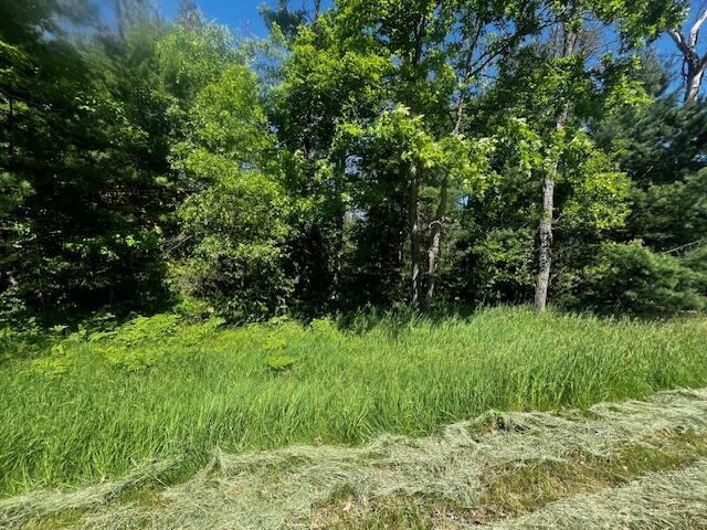 1 M-37 Baldwin, MI 49304 - Photo 12 of 15