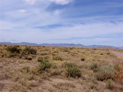 10 Turkey Trot Road, Unit AC Pearce, AZ 85625 - Photo 1 of 3