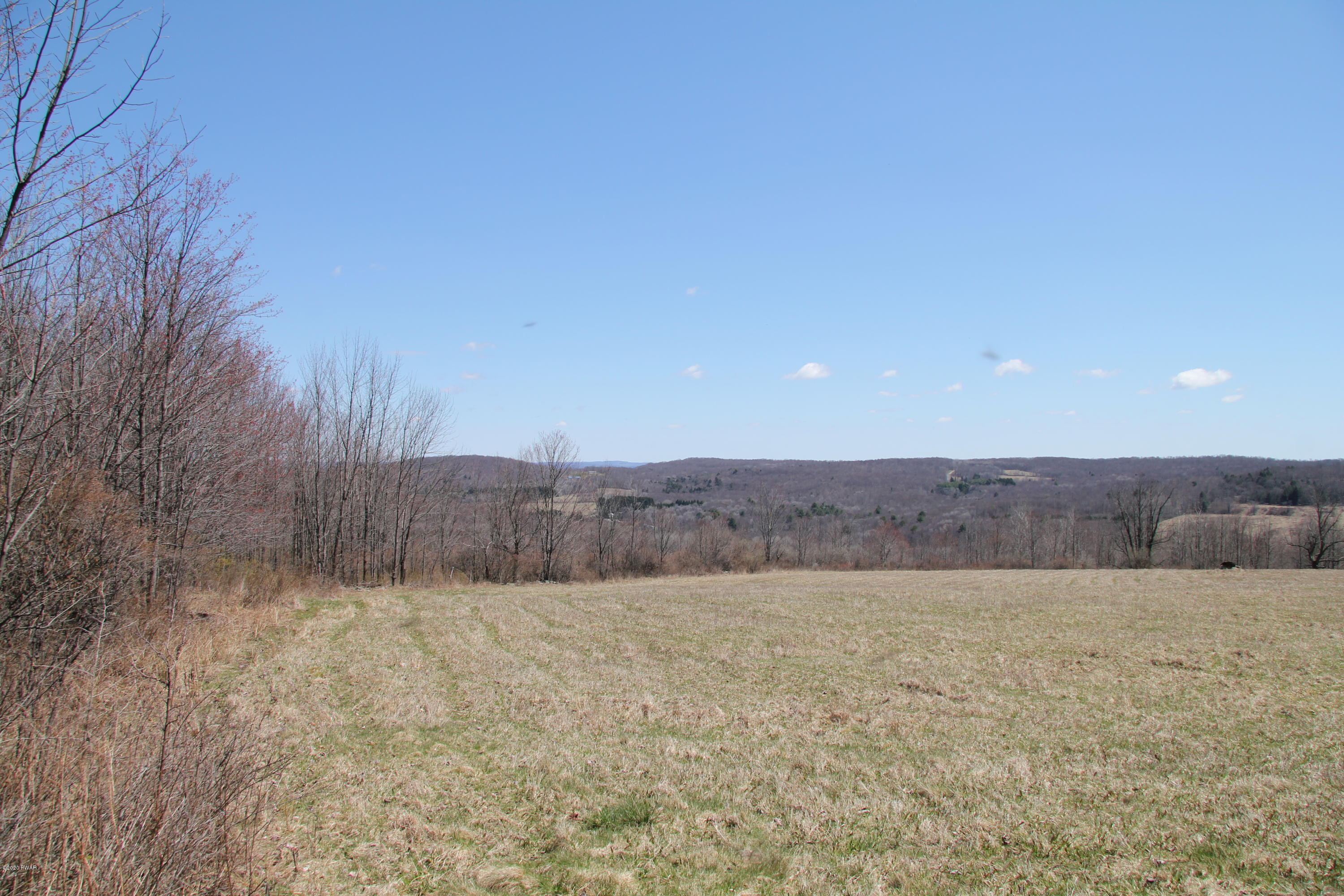 695 Pine Mill Road Equinunk, PA 18417 - Photo 66 of 68