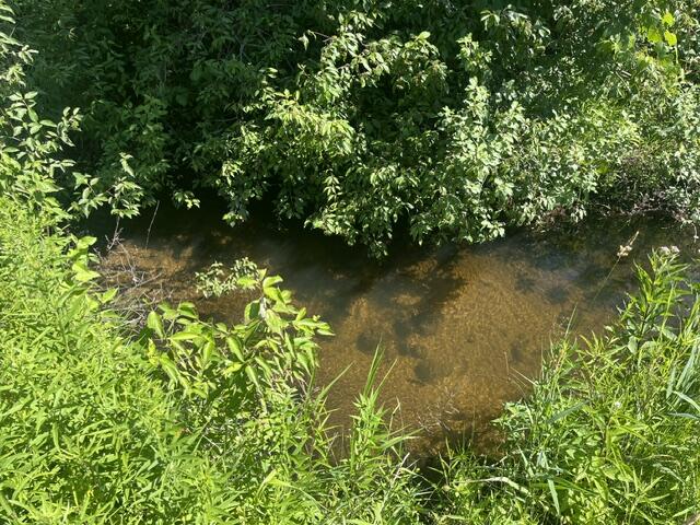 2849 Hoover Road Barryton, MI 49305 - Photo 6 of 22 IMG_0383