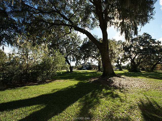 2321 Pristine View Road Charleston, SC 29414 - Photo 34 of 40 34