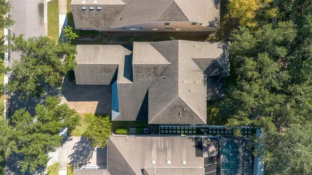 a view of a yard with plants and trees