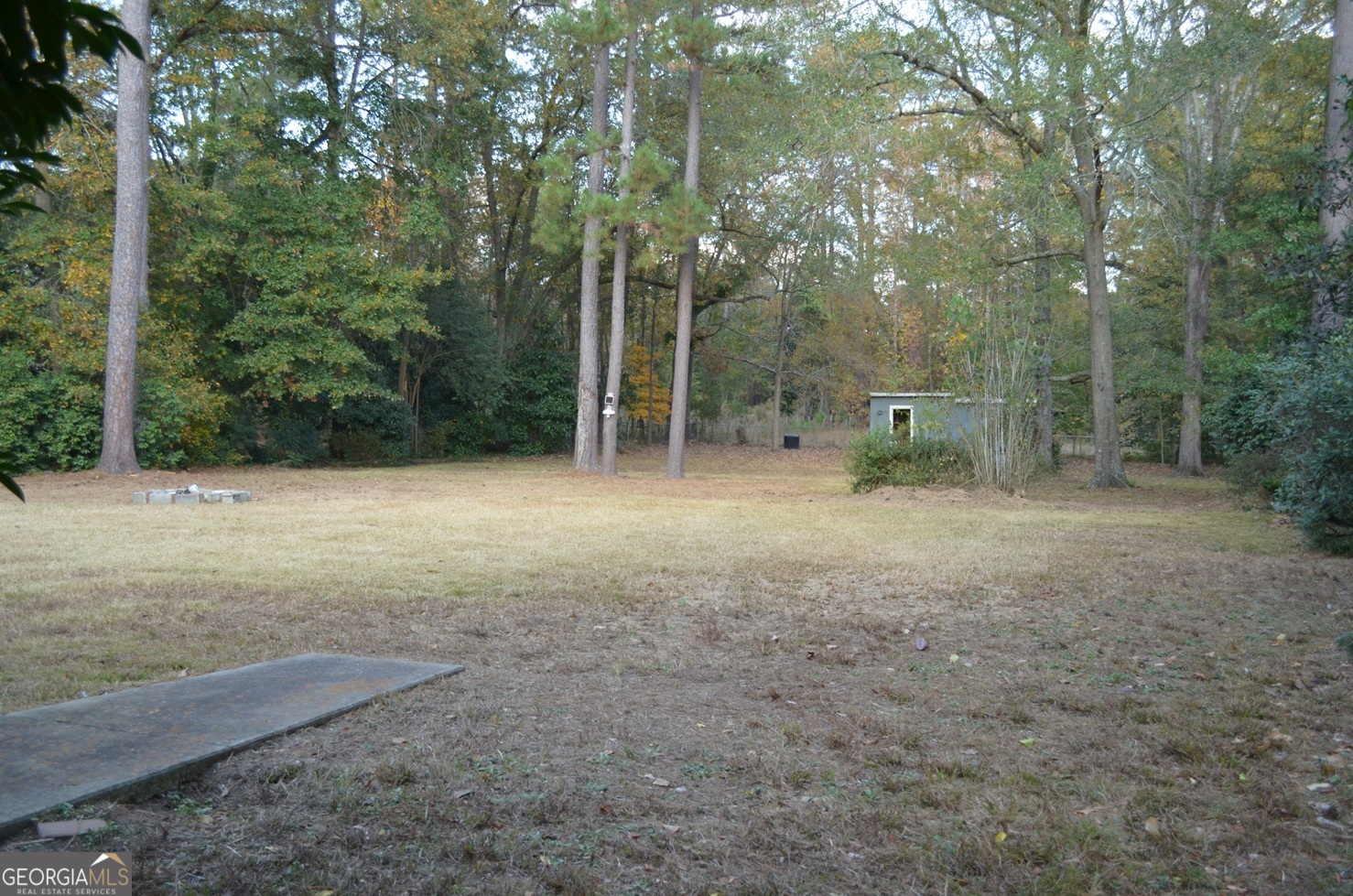 2655 Riverview Road Macon, GA 31204 - Photo 11 of 14 a view of a forest with trees in the background