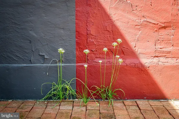 $750,000 | 337 East Hamburg Street, Baltimore, MD 21230