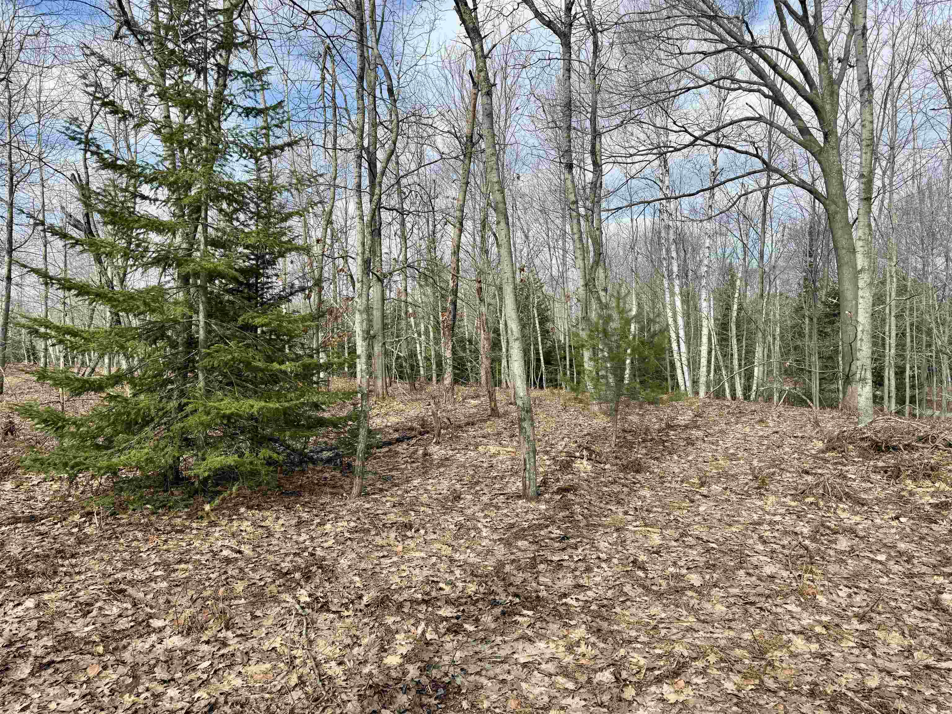 0 East Sandy Lane Cedar, MI 49621 - Photo 5 of 20