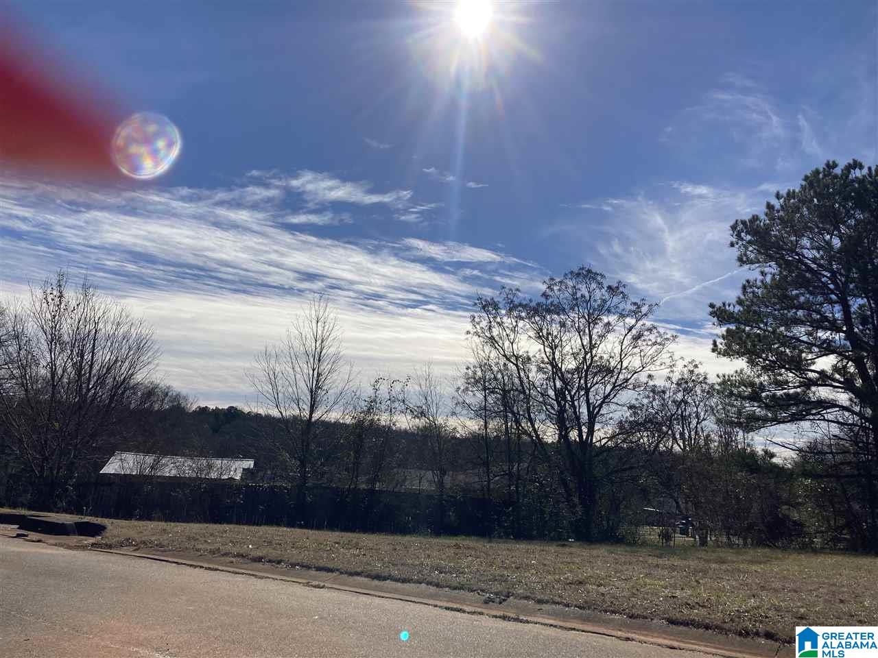 220 Oxford Road, Unit 22 Montevallo, AL 35115 - Photo 1 of 1