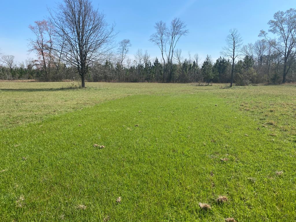 1229 Pierce Road Waverly Hall, GA 31831 - Photo 27 of 32