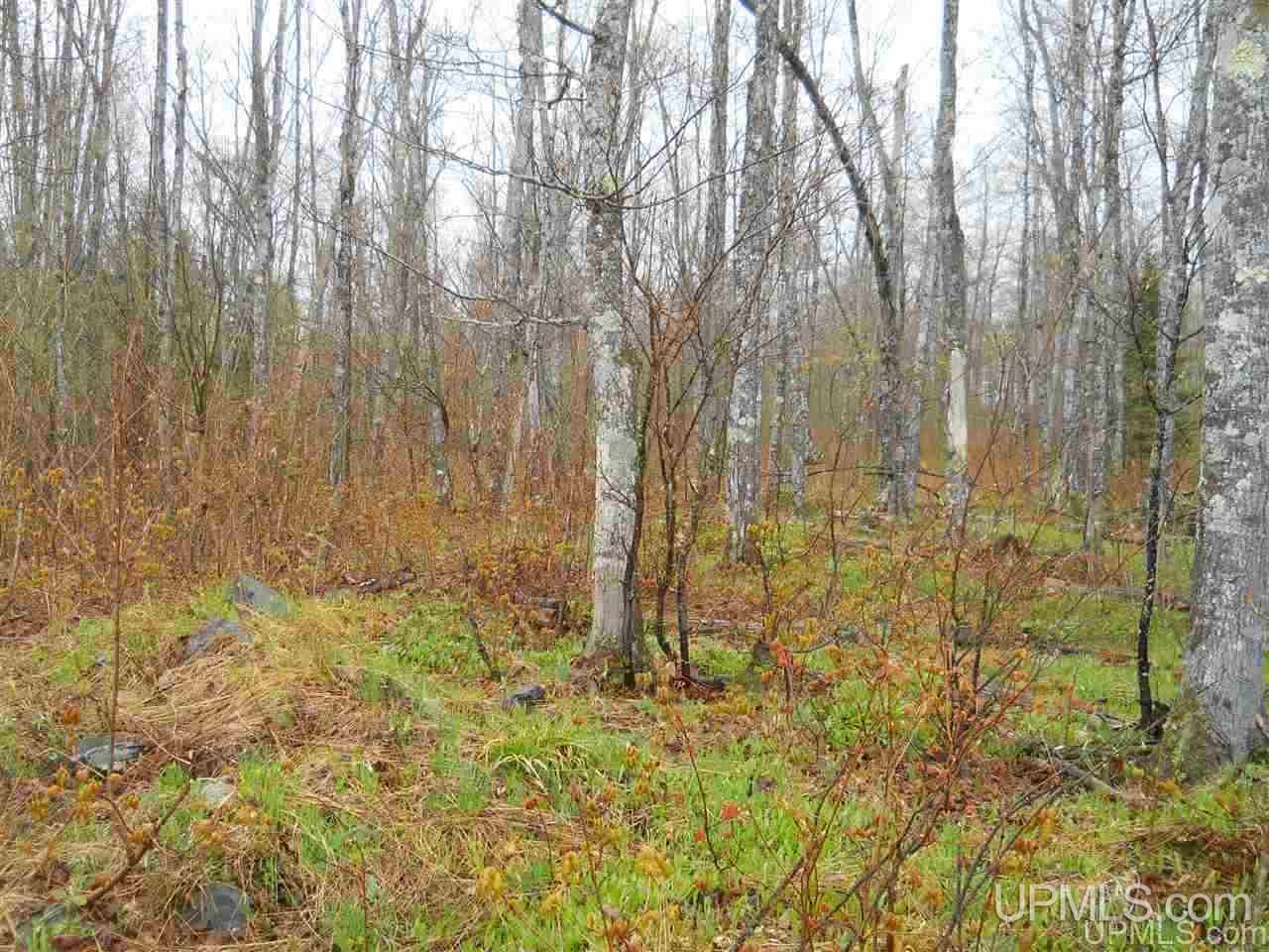 Tbd Tbd Off Us41 Lanse, MI 49946 - Photo 9 of 17
